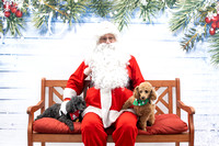 Pet Supplies Plus/ Pet Tales Rescue- Christmas